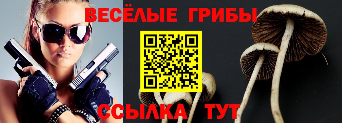 Чистополь  Галлюциногенные грибы GOLDEN TEACHER  Вход с VPN 